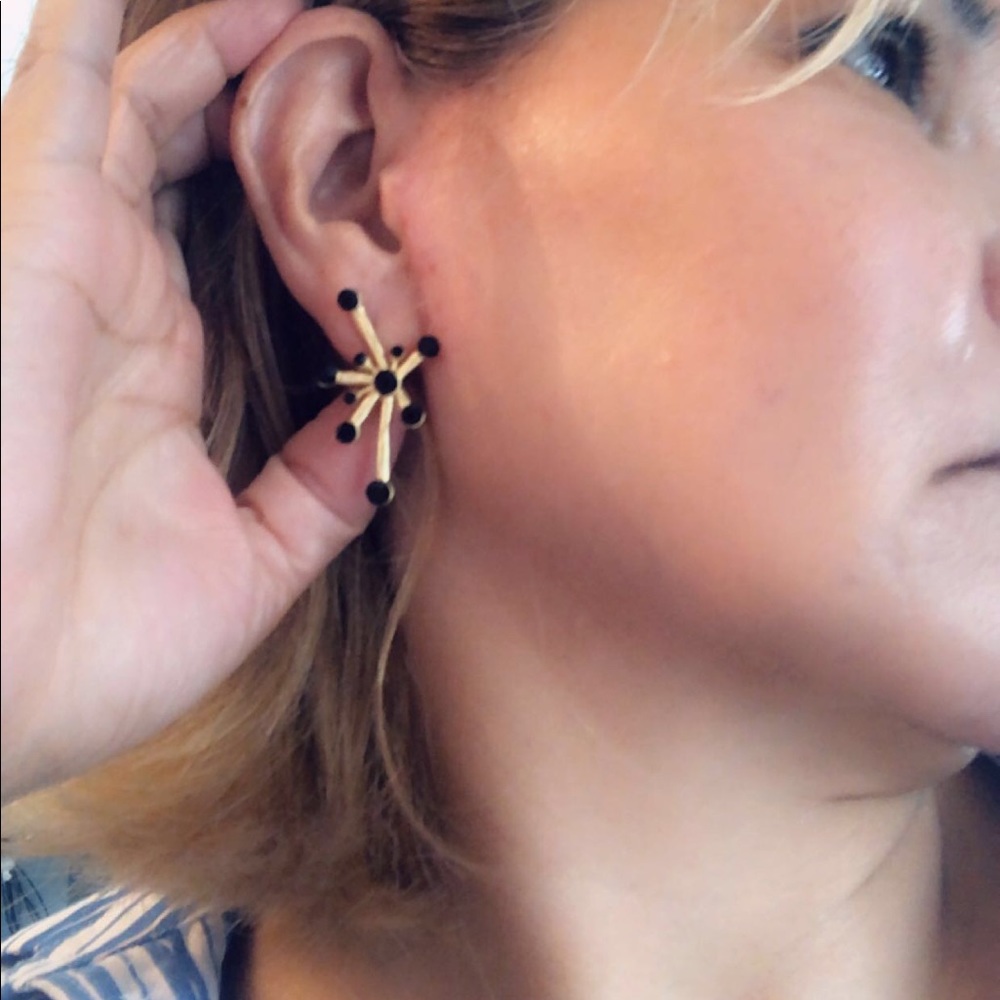 CELINE Style Earrings
